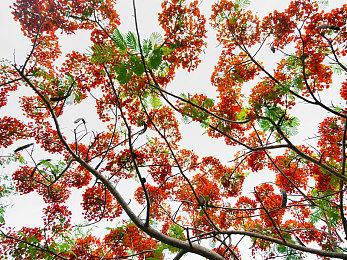 《Loop8：降神》发布英文版预告片与游戏截图