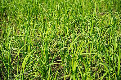 腾讯：游戏版号总会解决 不久就会有版号发放